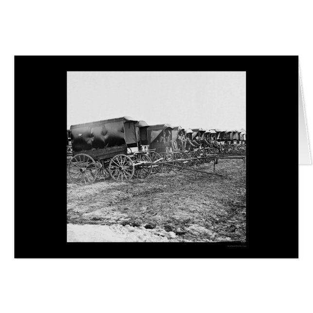 Ambulance Wagons and Drivers 1863 (Front Horizontal)