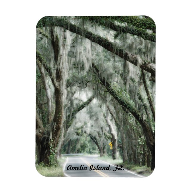 Amelia Island, FL. magnet (Vertical)