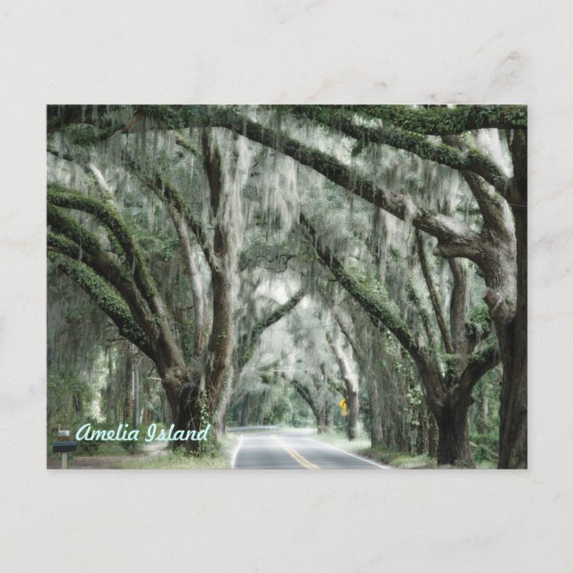amelia island postcard (Front)