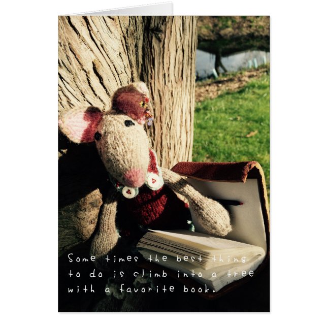 Amelia's Amazing Adventures (Front)