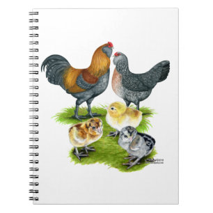 Ameraucana Chicken Family Notebook
