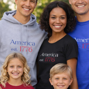 America 250 Birthday est 1776 Typography Grey Hoodie