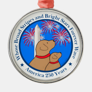 America 250 DC Edition Metal Ornament