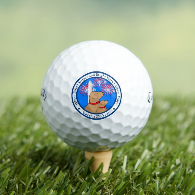 America 250 Special Edition DC  Golf Balls (Insitu Tee)