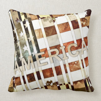 America Cushion
