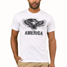 America, Eagle American Flag