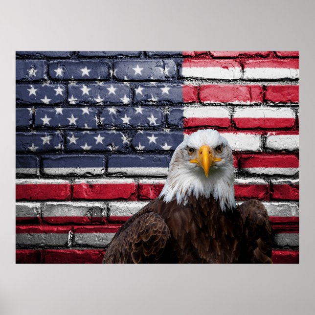 AMERICA FLAG  EAGLE IMAGE POSTER (Front)