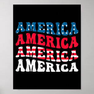 America flag graphic funny 4th of july poster