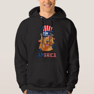 America Golden Retriever Dog 4th Of Hoodie
