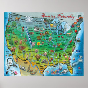 America Naturally Fun Map Poster