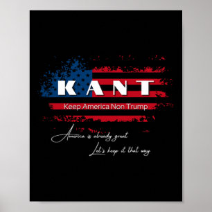 America Non Trump Funny Anti Trump 2024 Pro Democr Poster