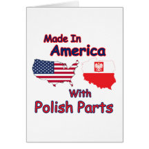 America With Polish Parts
