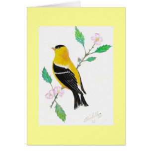 americam goldfinch