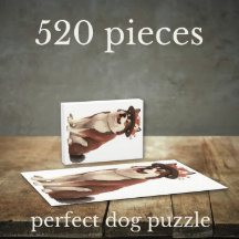 American Akita dog from Fairy tale book 1