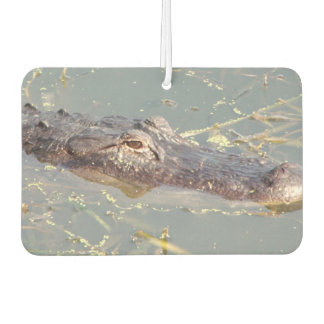 American Alligator Air Freshner Car Air Freshener