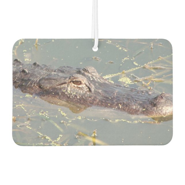 American Alligator Air Freshner Car Air Freshener (Front)