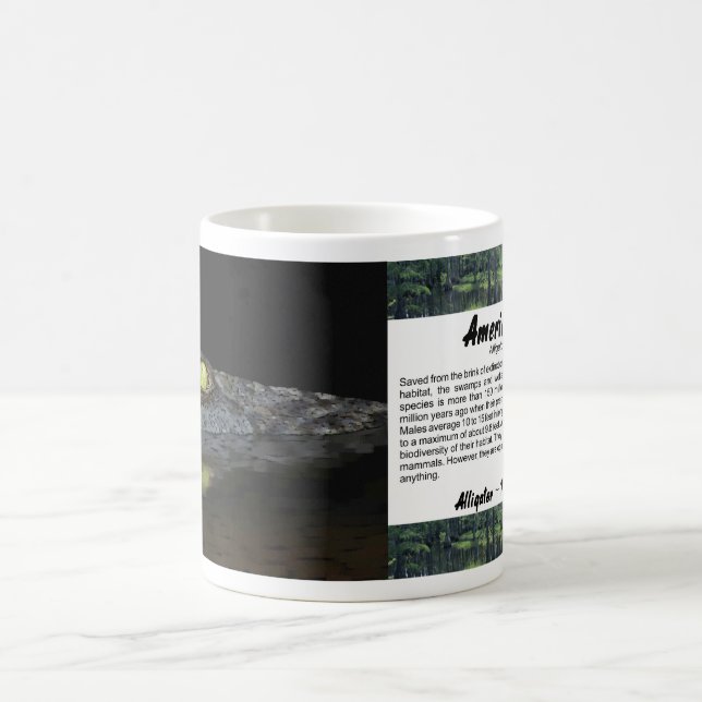 American Alligator Coffee Mug (Center)