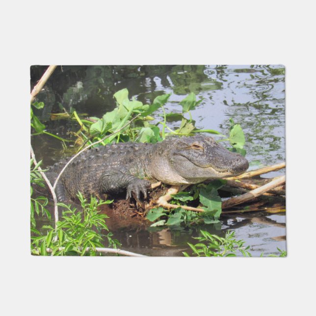 American Alligator Doormat (Front)