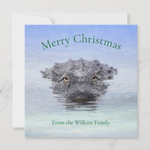 American Alligator – Lake Apopka Wildlife Drive Holiday Card