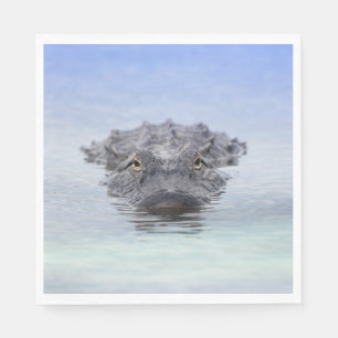 American Alligator – Lake Apopka Wildlife Drive Napkin