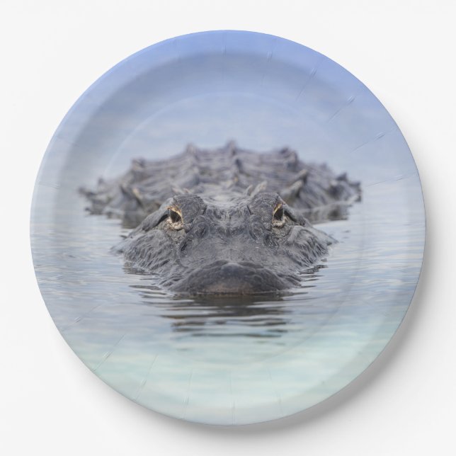 American Alligator – Lake Apopka Wildlife Drive Paper Plate (Front)