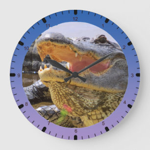 American Alligator Large Clock