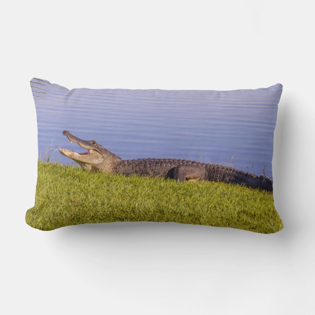American alligator lumbar cushion (Front)