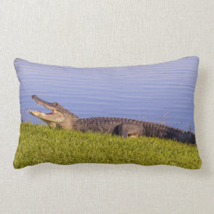 American alligator lumbar cushion
