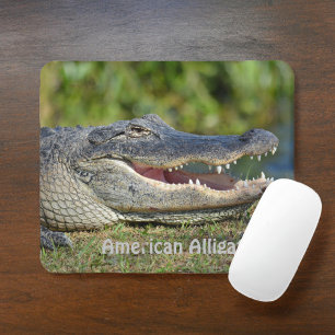 American Alligator  Mouse Pad