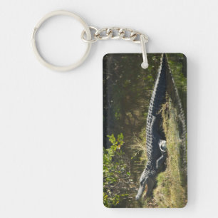 American Alligator on a Florida Grassy Bank Key Ring
