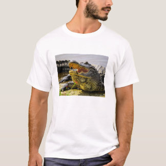 American alligator portrait - Face to face T-Shirt