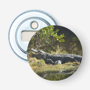 American Alligator Resting Along a Florida Wetland Bottle Opener