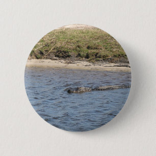 American Alligator Swimming in a Marsh River Photo 6 Cm Round Badge