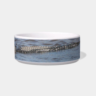 American Alligator Swimming in Wild River Photo Bowl