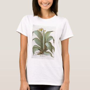 American Aloe: Aloe Americana, from the 'Hortus Ey T-Shirt