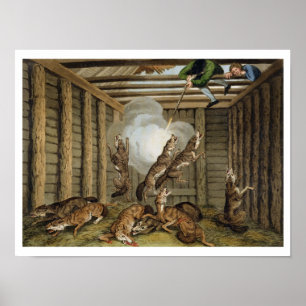 American Anecdote: Shooting the Wolves, engraved b Poster