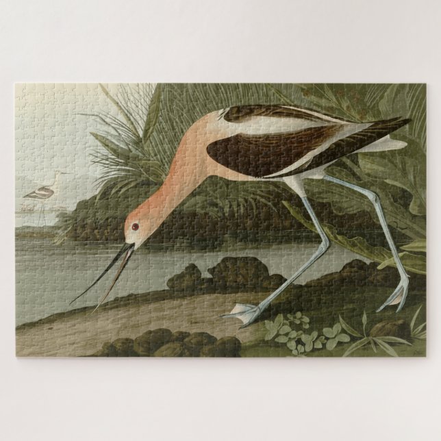 American Avocet from Audubon's Birds of America Jigsaw Puzzle (Horizontal)