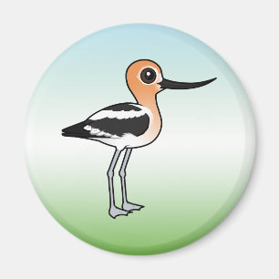 American Avocet Magnet