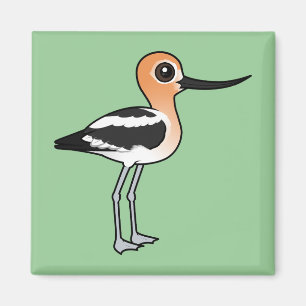 American Avocet Magnet