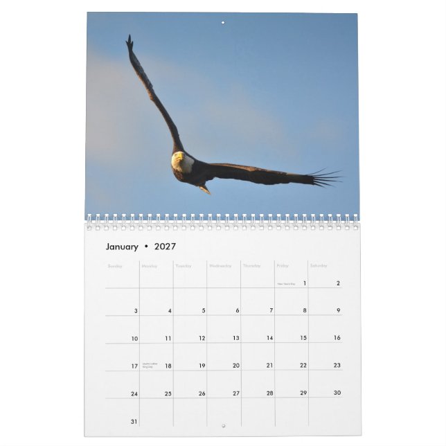 American Bald Eagle 2014 Calendar (Jan 2027)