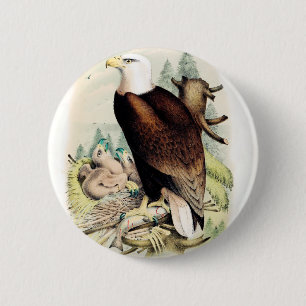 American Bald Eagle 6 Cm Round Badge