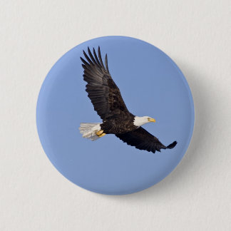 American Bald Eagle 6 Cm Round Badge