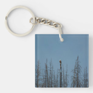 American Bald Eagle 8974 Key Ring