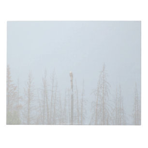 American Bald Eagle 8974 Notepad
