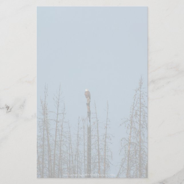 American Bald Eagle 8974 Stationery (Front)