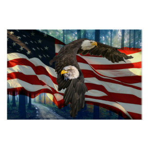 American Bald Eagle American Flag  Poster