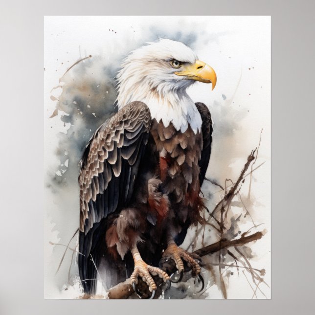 American Bald Eagle Bird Art Print Poster (Front)