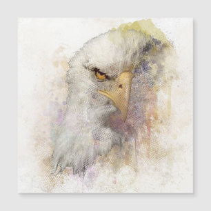 American Bald Eagle Bird Of Prey Watercolor