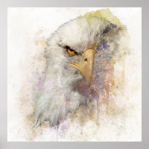 American Bald Eagle Bird Of Prey Watercolor Poster