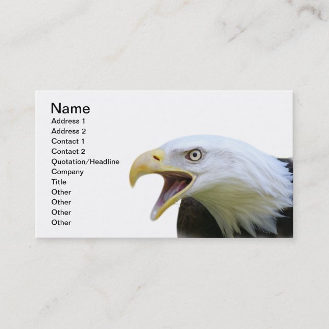 American Bald Eagle Business Card (Front)